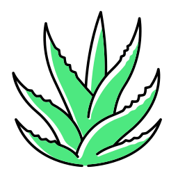 Aloe Vera - R3 Wound Care and Hyperbarics, Texas