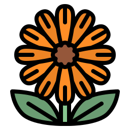 Calendula - R3 Wound Care and Hyperbarics, Texas